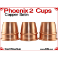 Phoenix 2 Cups | Copper | Satin Finish 2