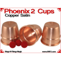 Phoenix 2 Cups | Copper | Satin Finish 3