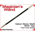Magicians Wand | Ebony & Silver