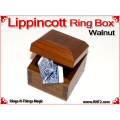 Lippincott Ring Box | Walnut 6