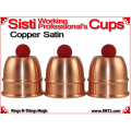 Sisti Working Professional's Cups | Copper | Satin Finish 1